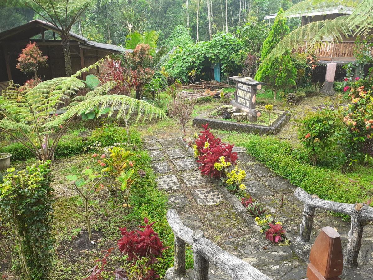Ijen Miner Family Homestay Banyuwangi  Extérieur photo