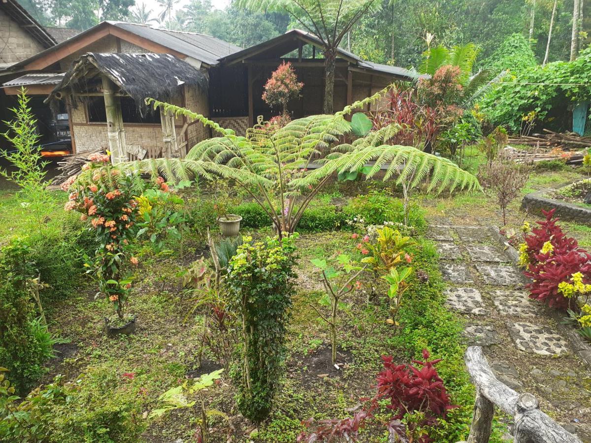 Ijen Miner Family Homestay Banyuwangi  Extérieur photo