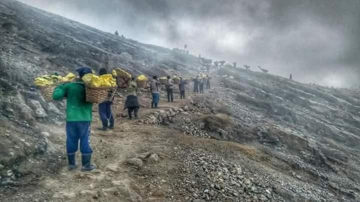 Ijen Miner Family Homestay Banyuwangi  Extérieur photo