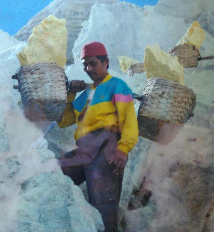 Ijen Miner Family Homestay Banyuwangi  Extérieur photo